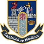 Gaelscoil an Mhuillin Jumper (Deer Park Knitwear)
